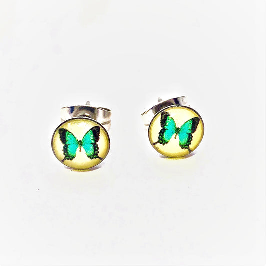 Green Butterfly Stainless Steel Studs
