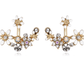 Crystal Garden Flowered Stud Earrings & Jacket In Four Colors