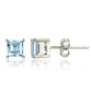 Feshionn IOBI Earrings Ice Blue Genuine Topaz Princess Cut 0.7 CT IOBI Precious Gems Stud Earrings