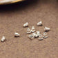 Feshionn IOBI Earrings Replacement Earring Backs Stopper/Bullet Style Gold, Silver or Mixed